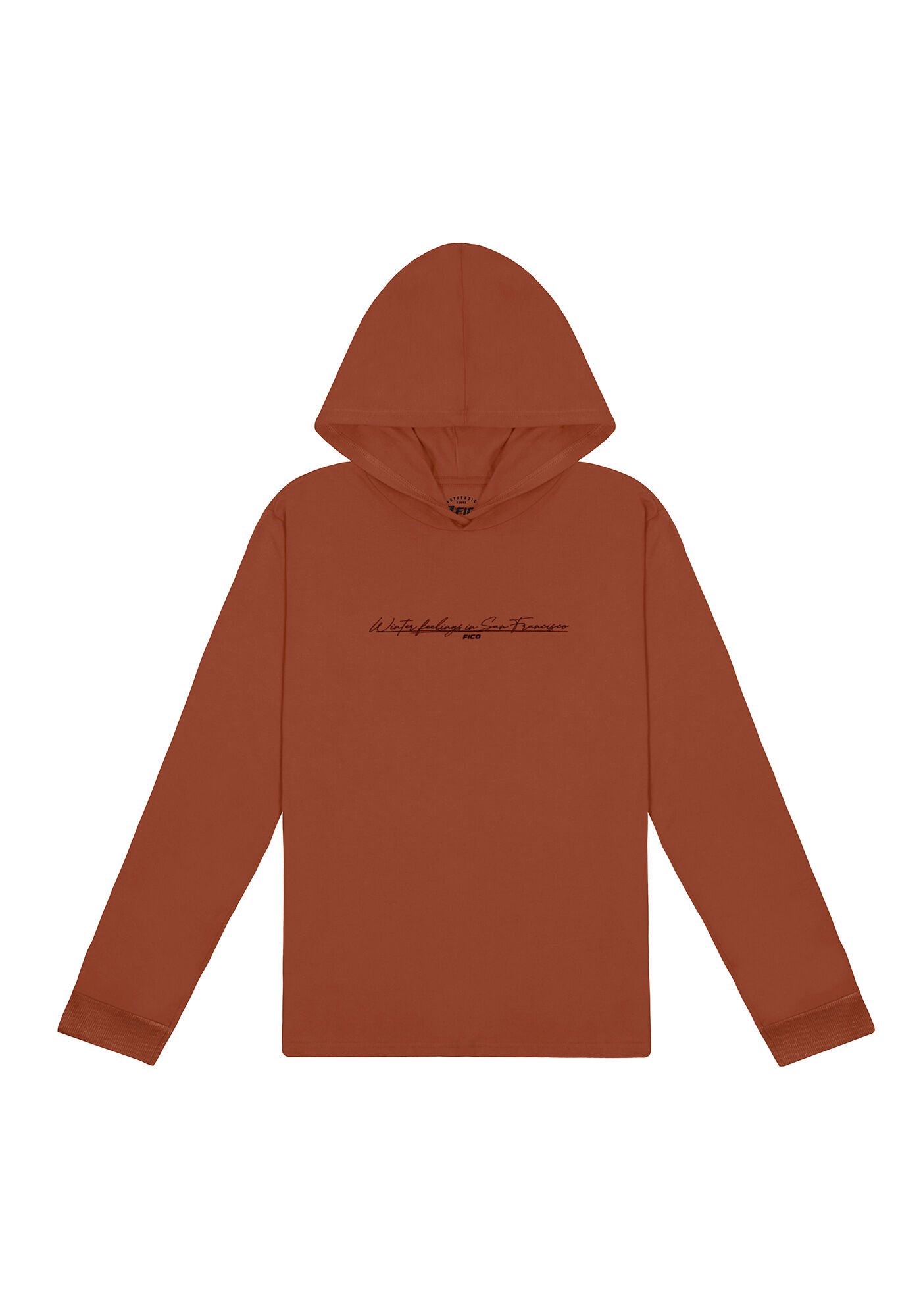 Camiseta Manga Longa Masculina com Capuz, LARANJA FERRUGEM, large.